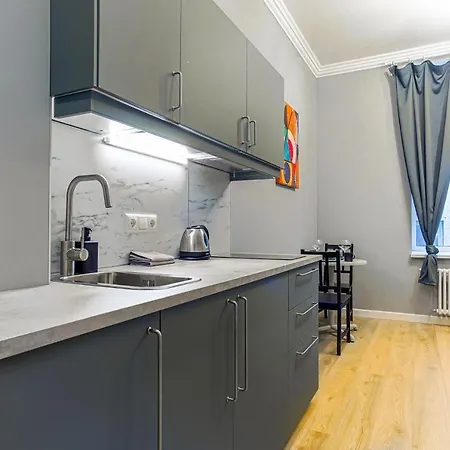 Central Studio Apartment 아파트 *